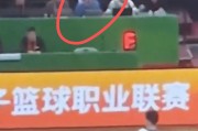 付豪撞飞徐杰，辽篮技术台竟带头鼓掌？焦泊乔还被辽篮球迷辱骂